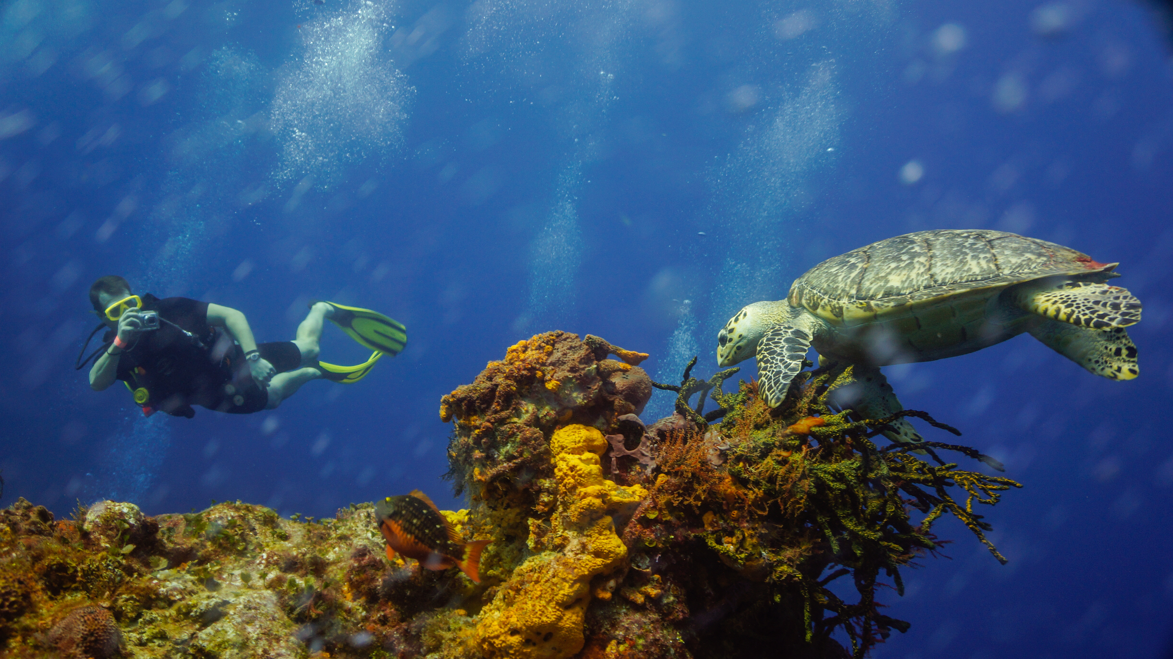 Isla Cozumel