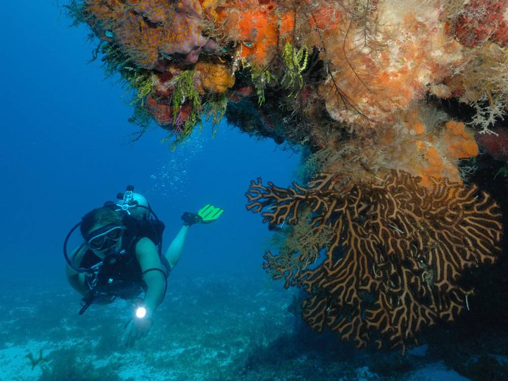 Isla Cozumel