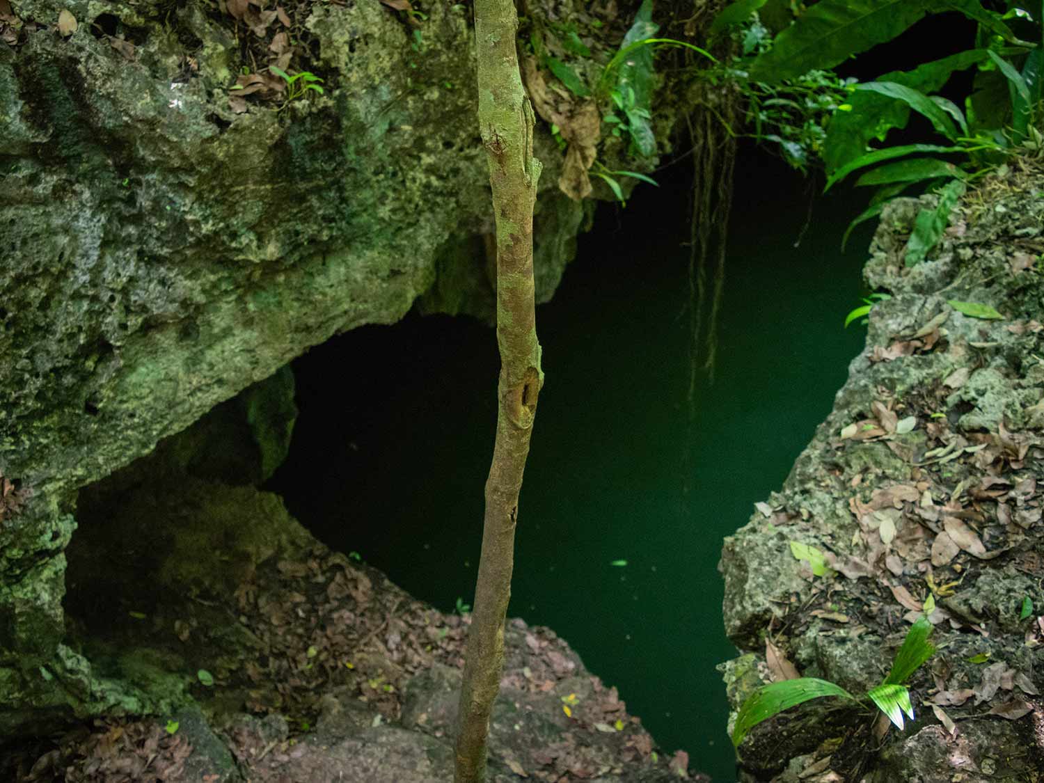 Cenote