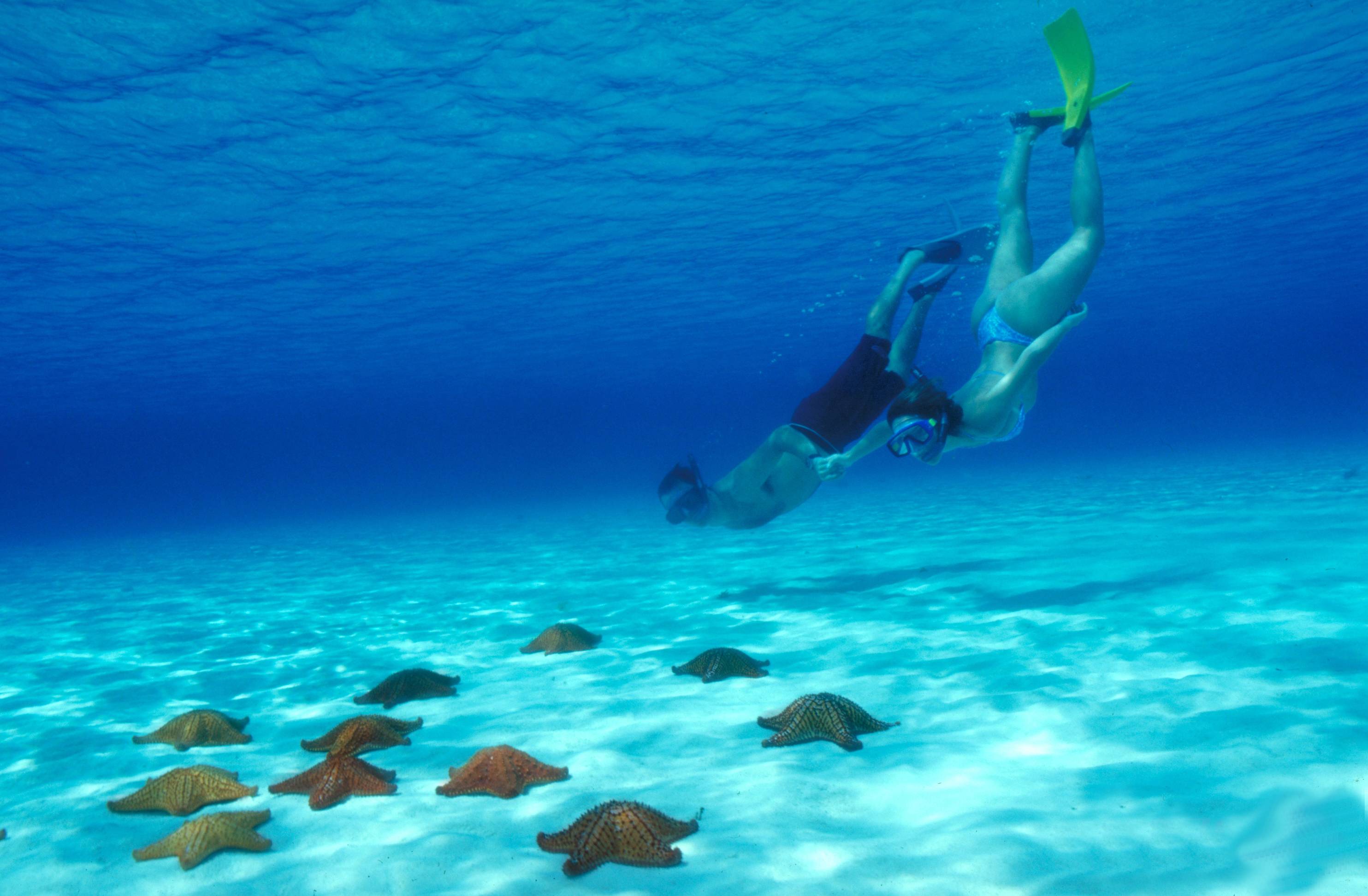 Isla Cozumel