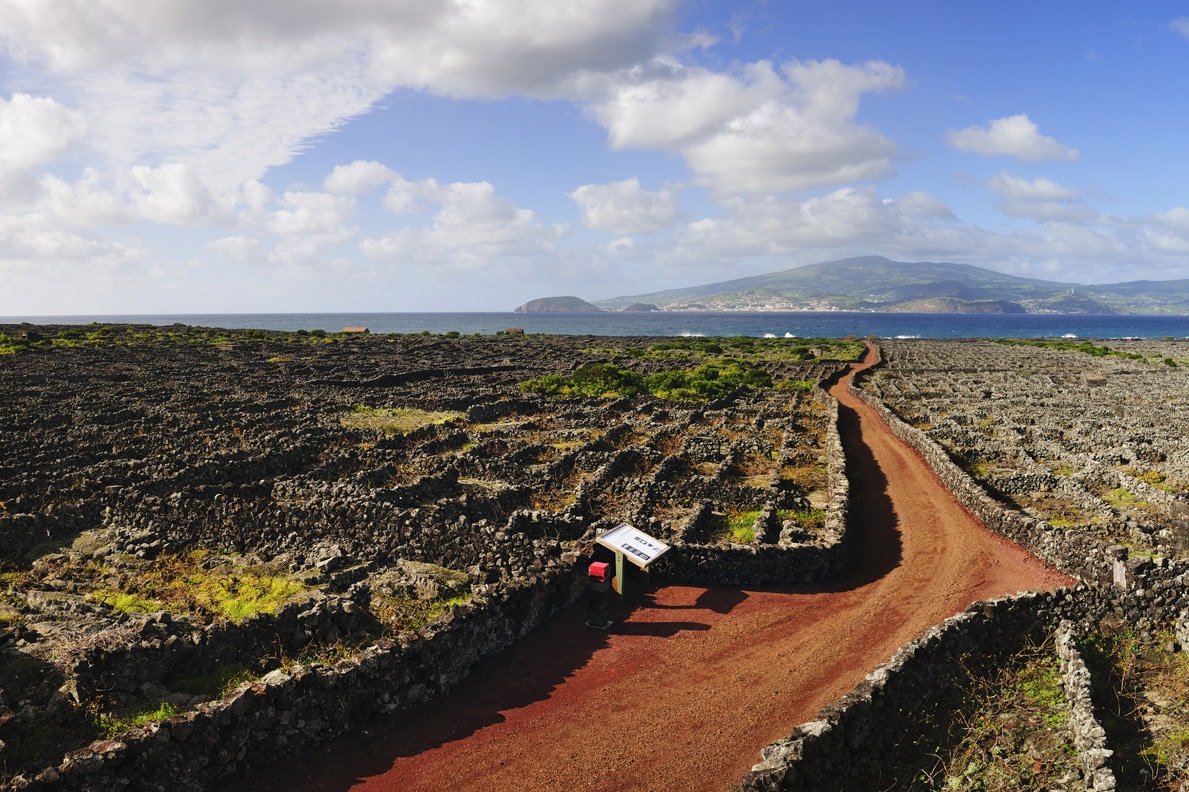 Vinhas da Criacao Velha Trail, Azores (Portugal)