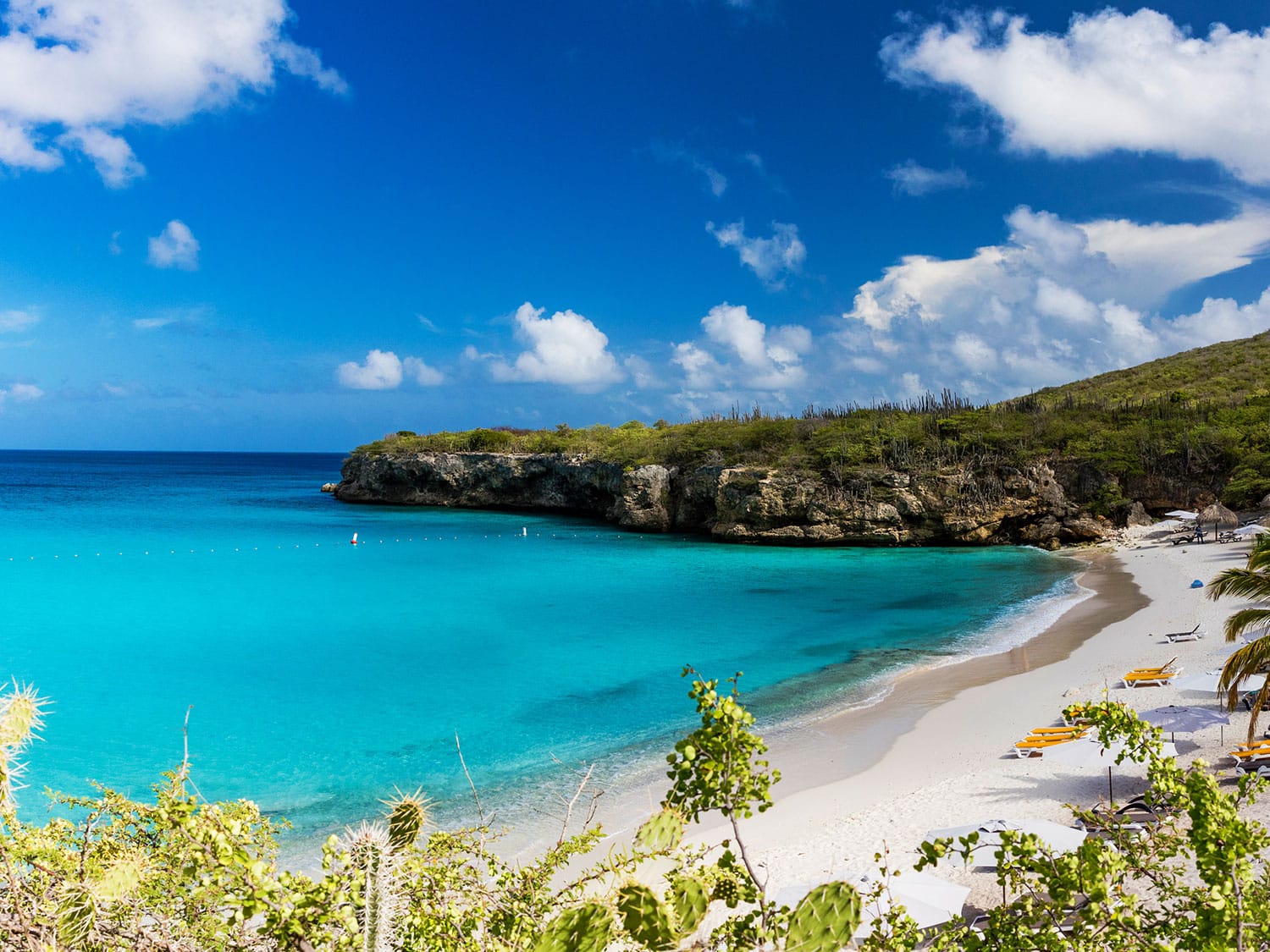 Grote Knip beach