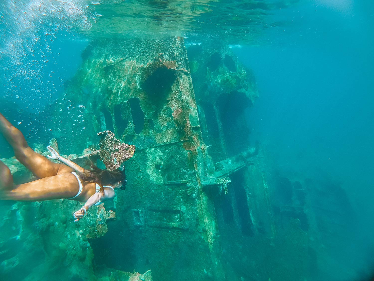 snorkeling in the Bahamas