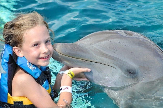 19-cozumel-for-families-dolphin-discovery