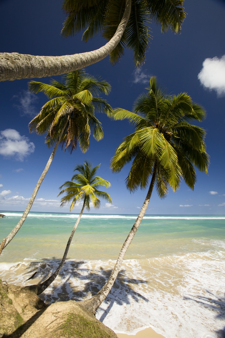 Best Island Careers: Islands to Live On to Start a Business: Dominican Republic, Move to an Island