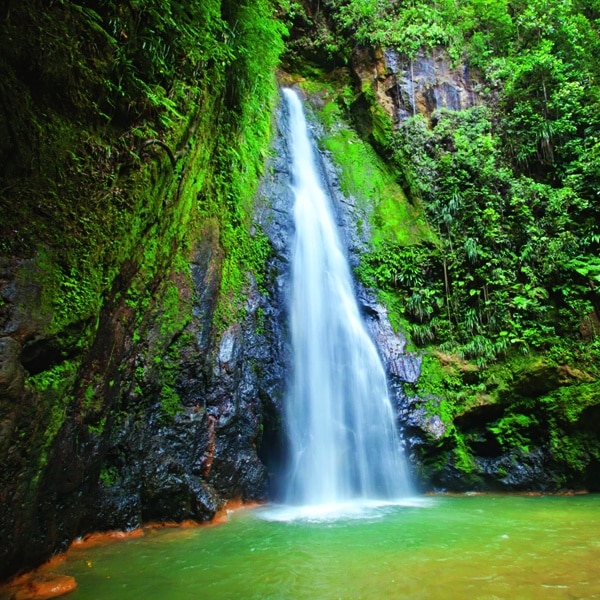 Waterfall in Dominica