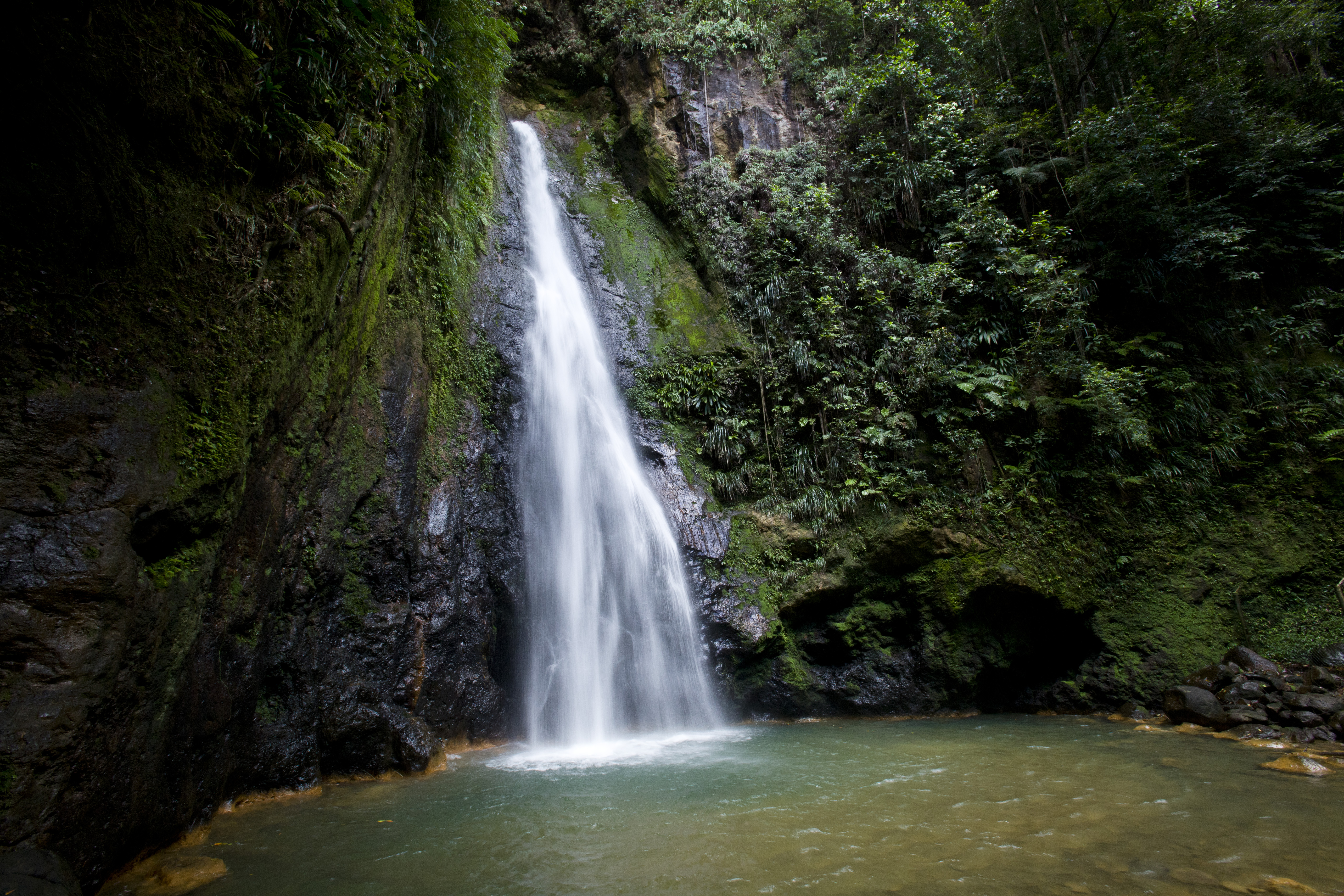 Best Islands to Live on for Starting Over: Dominica | Move to an Island