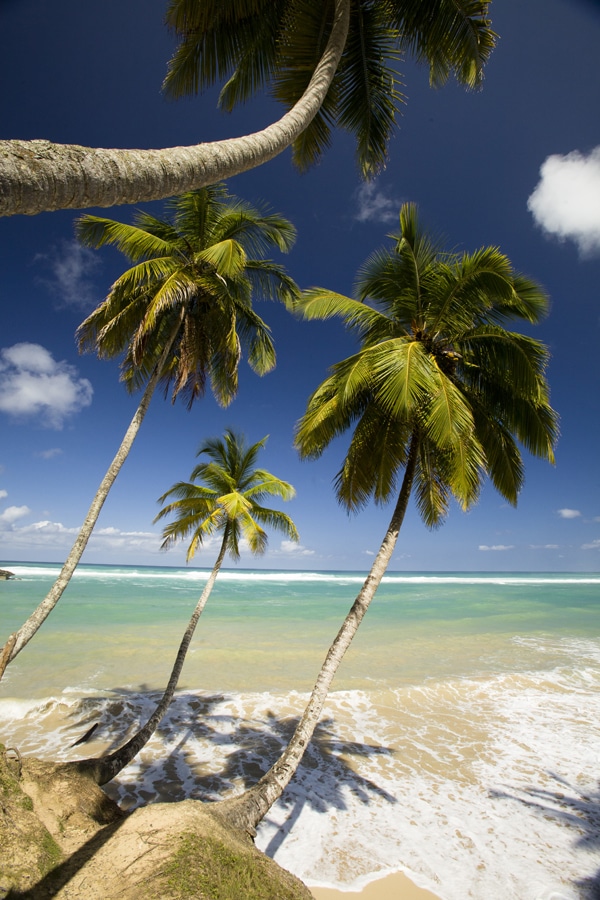 dominican republic baseball beach whittle  00.jpg