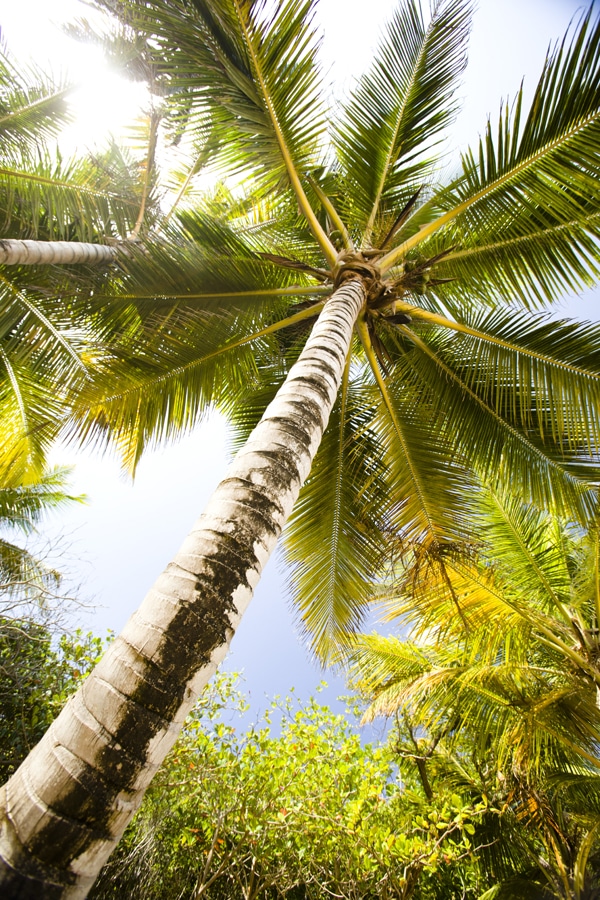 Dominican republic baseball beach whittle 03.jpg