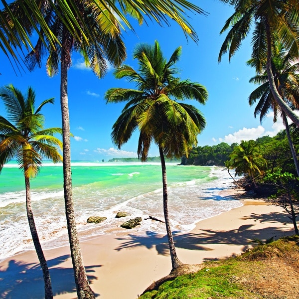 Dominican Republic Beach