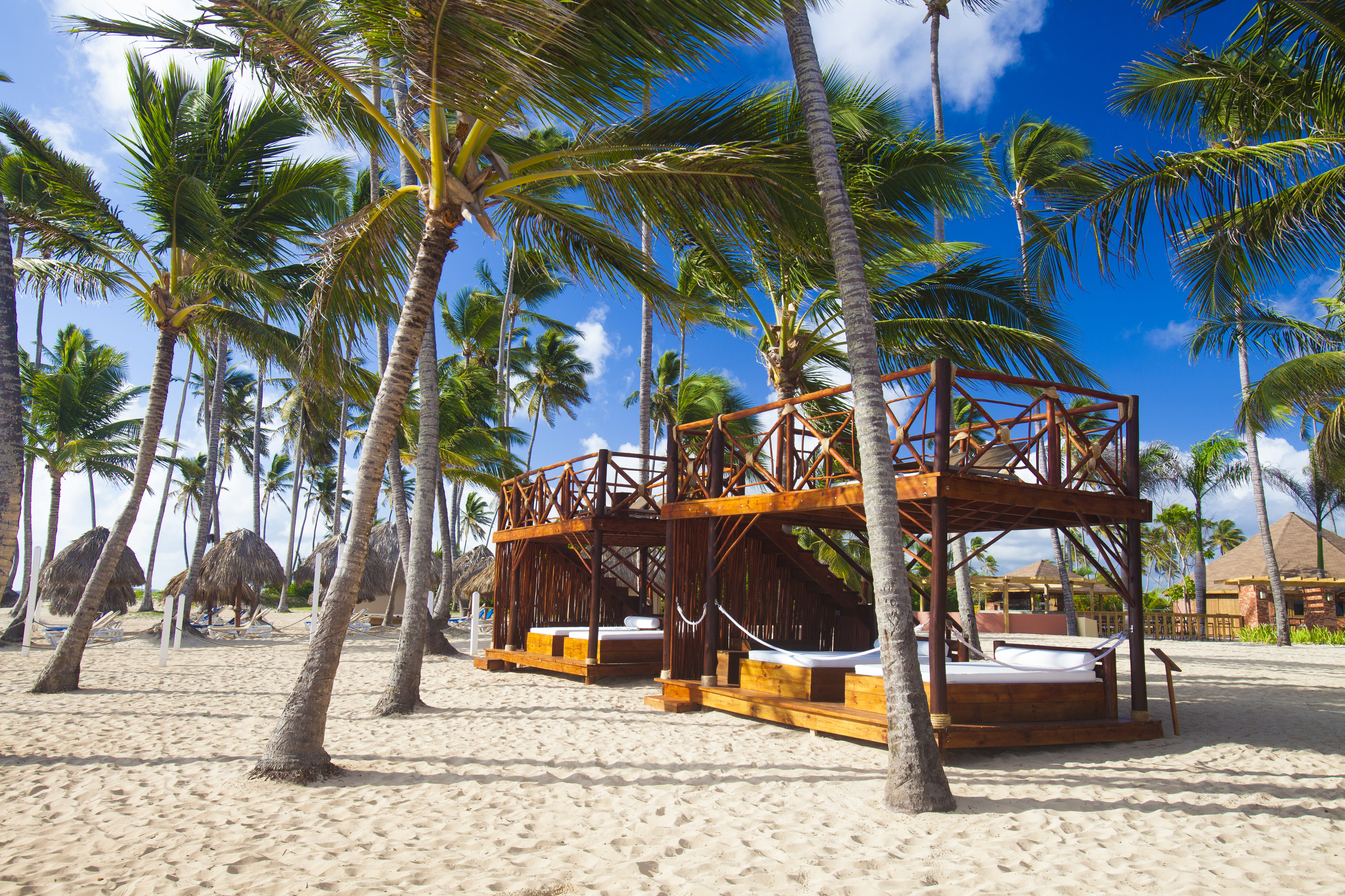 Best All-Inclusive Resorts in Punta Cana for Families | Dreams Punta Cana