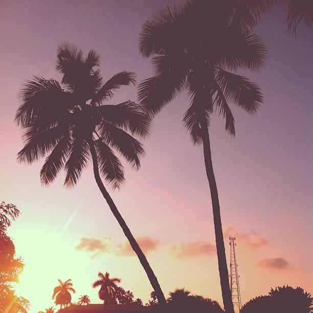 florida keys instagram photos islamorada sunrise