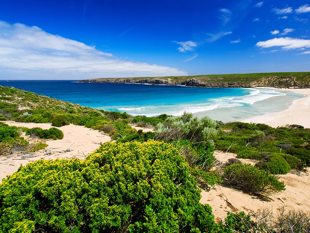 Kangaroo Island