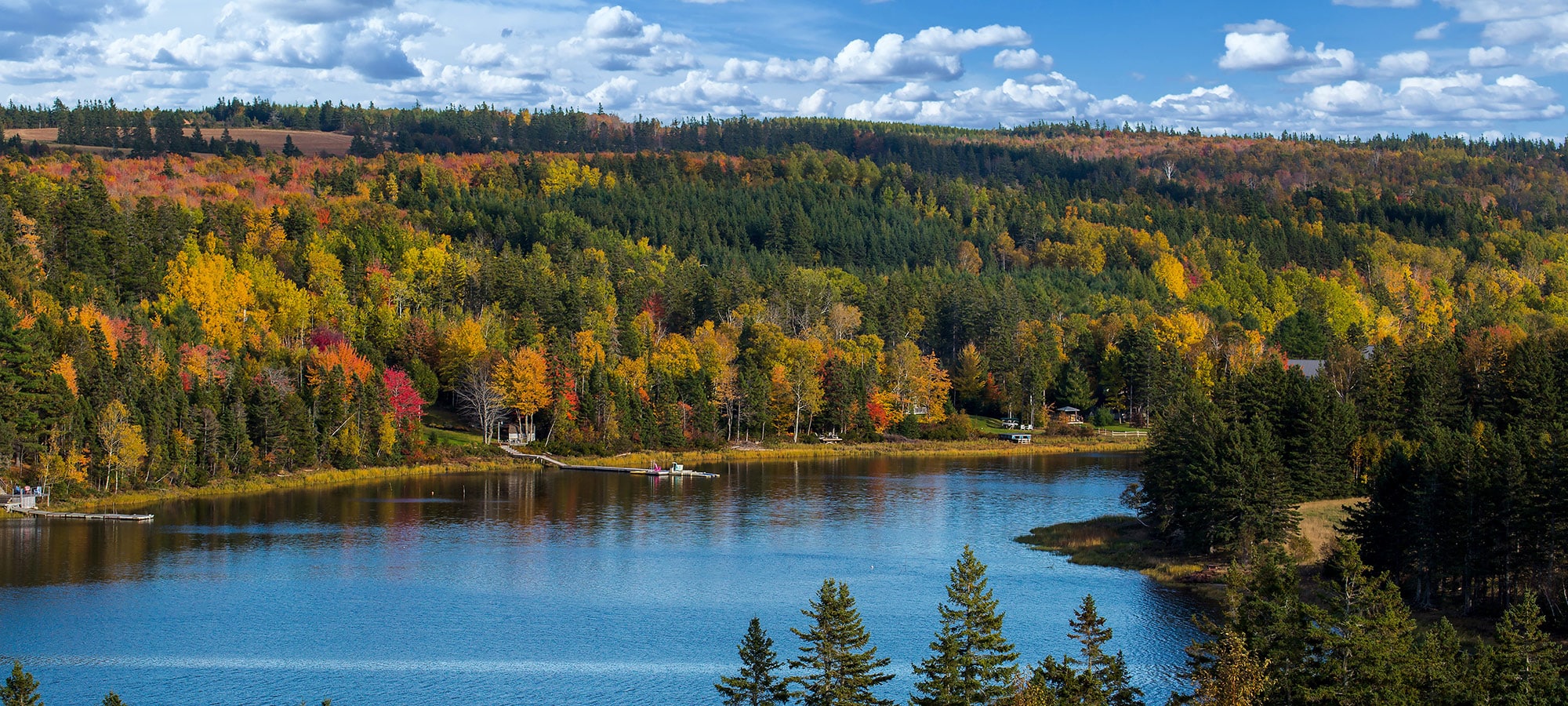 When it’s time to trade drinking rum punch under a palm tree for sipping warm cider under a golden maple, these are the islands that boast the best fall foliage.