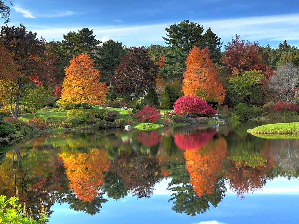 Fall Colors and Leaves: Mount Desert Island, Maine