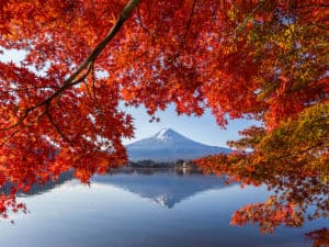 8 Best Islands for Fall Foliage | Islands