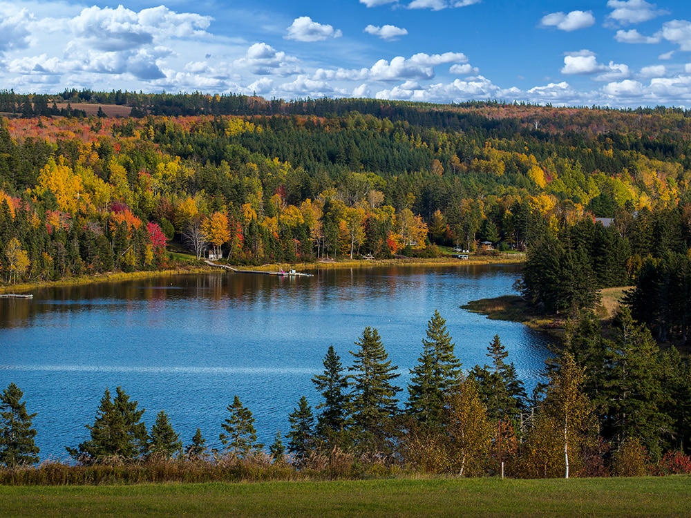 Fall Colors and Leaves: Prince Edward Island, Canada