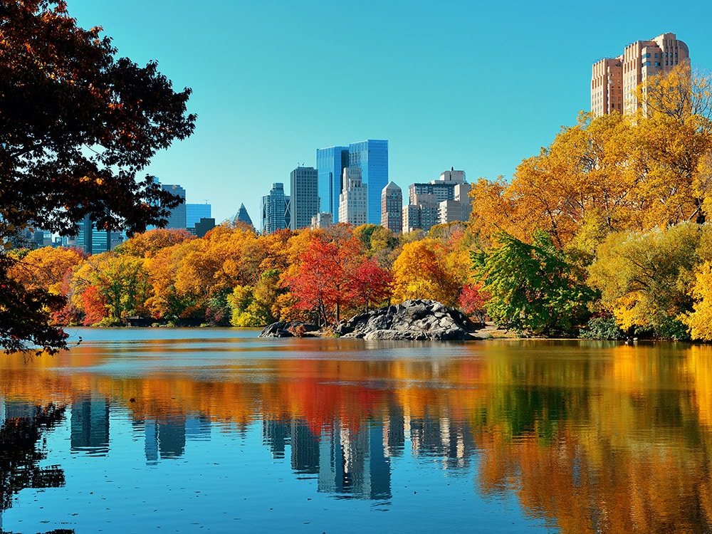 Fall Colors and Leaves: New York, New York