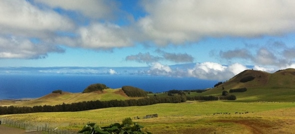 farm-dinner-hawaii.jpg