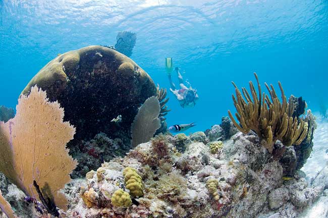 St. John Snorkeling