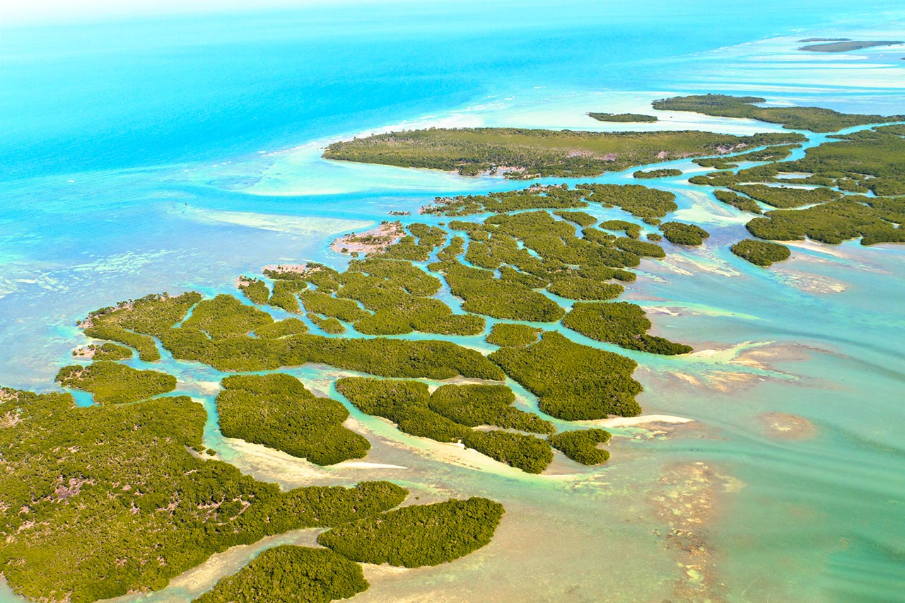 Hurricane Irma's Impact on the Florida Keys