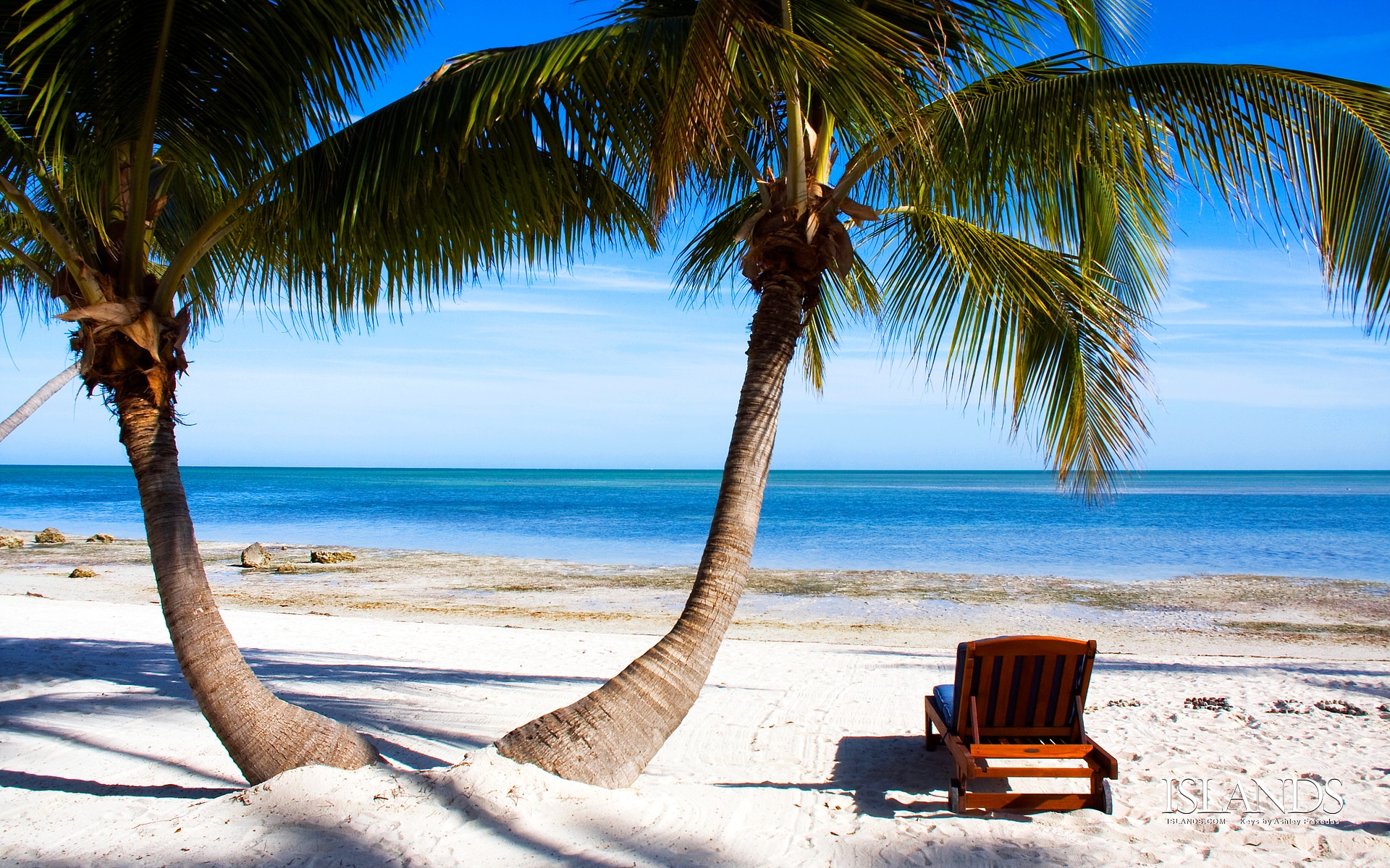 Sunny beach and palm trees in the Florida Keys