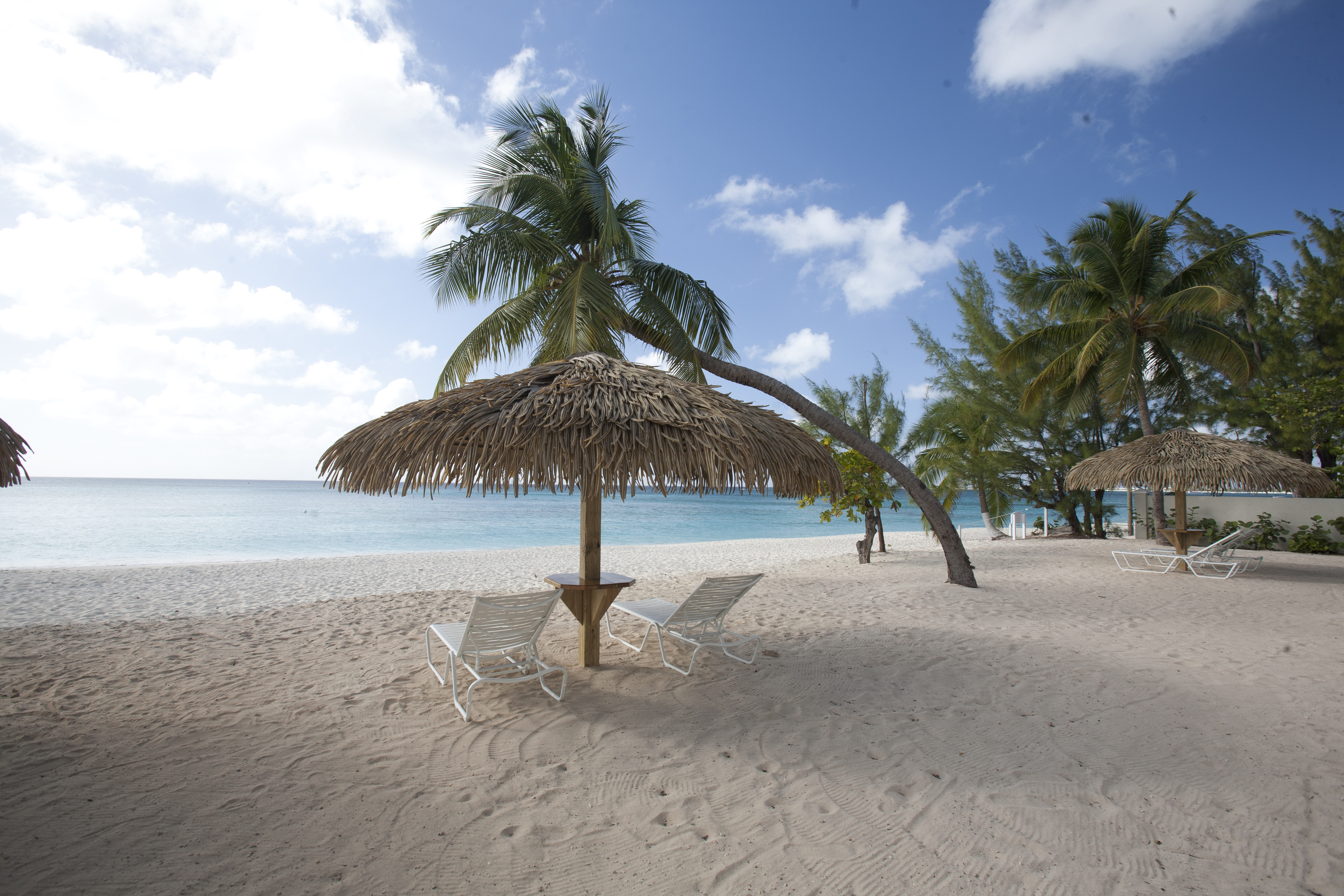 Nonstop Flights from Charlotte to Caribbean | Direct Flights to Caribbean | Grand Cayman Travel