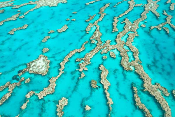Australia's Great Barrier Reef