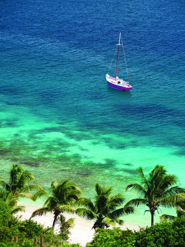 All-Inclusive Resorts: Palm Island, Grenadines