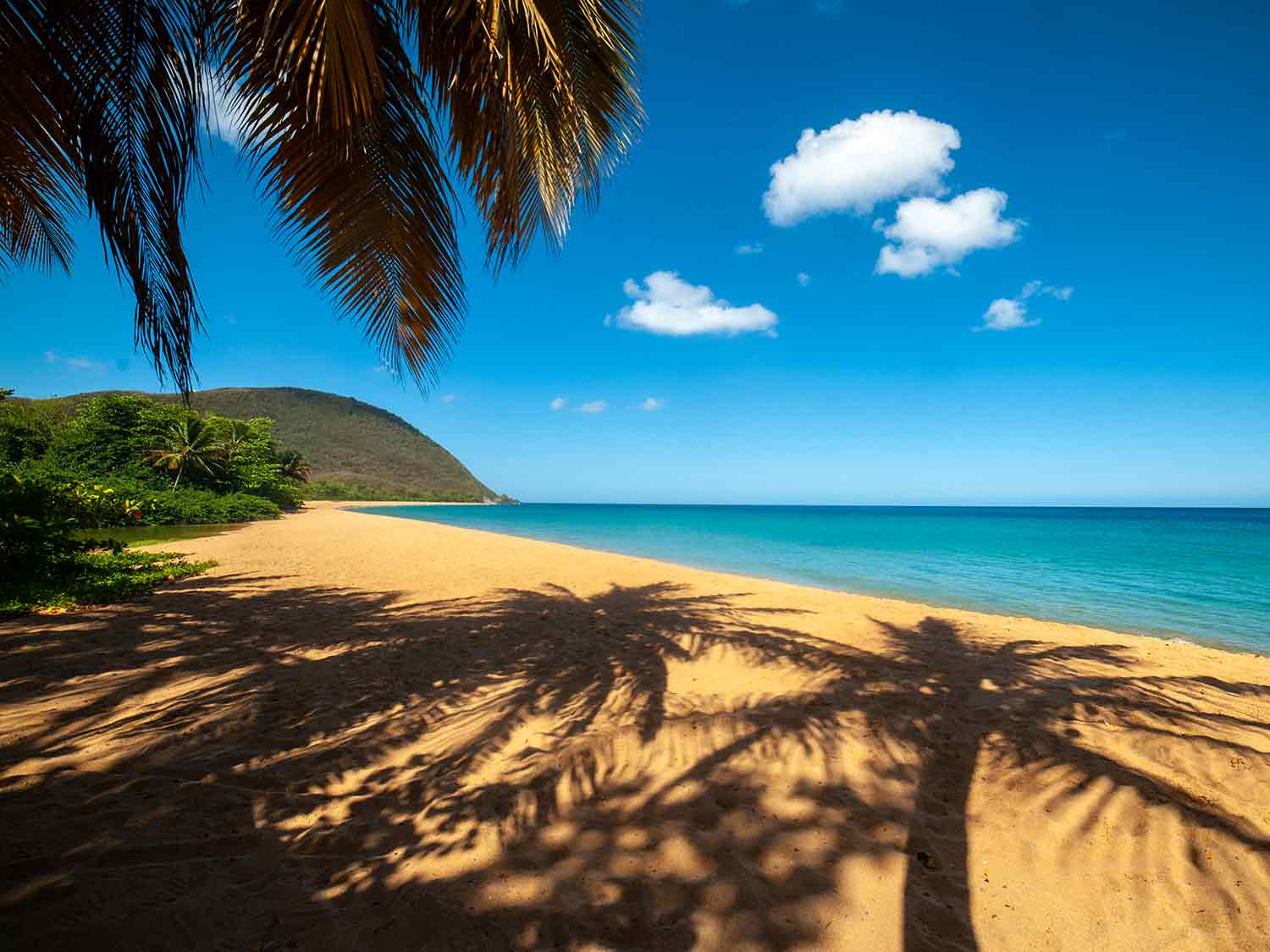 Grand Anse Beach