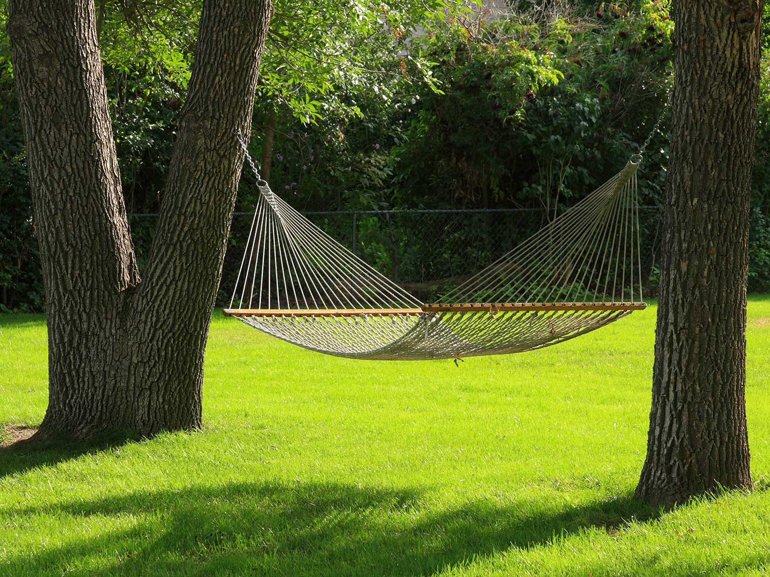 hammock