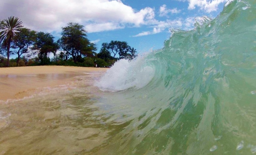 Hawaii's warm waters lure family vacation fans each year