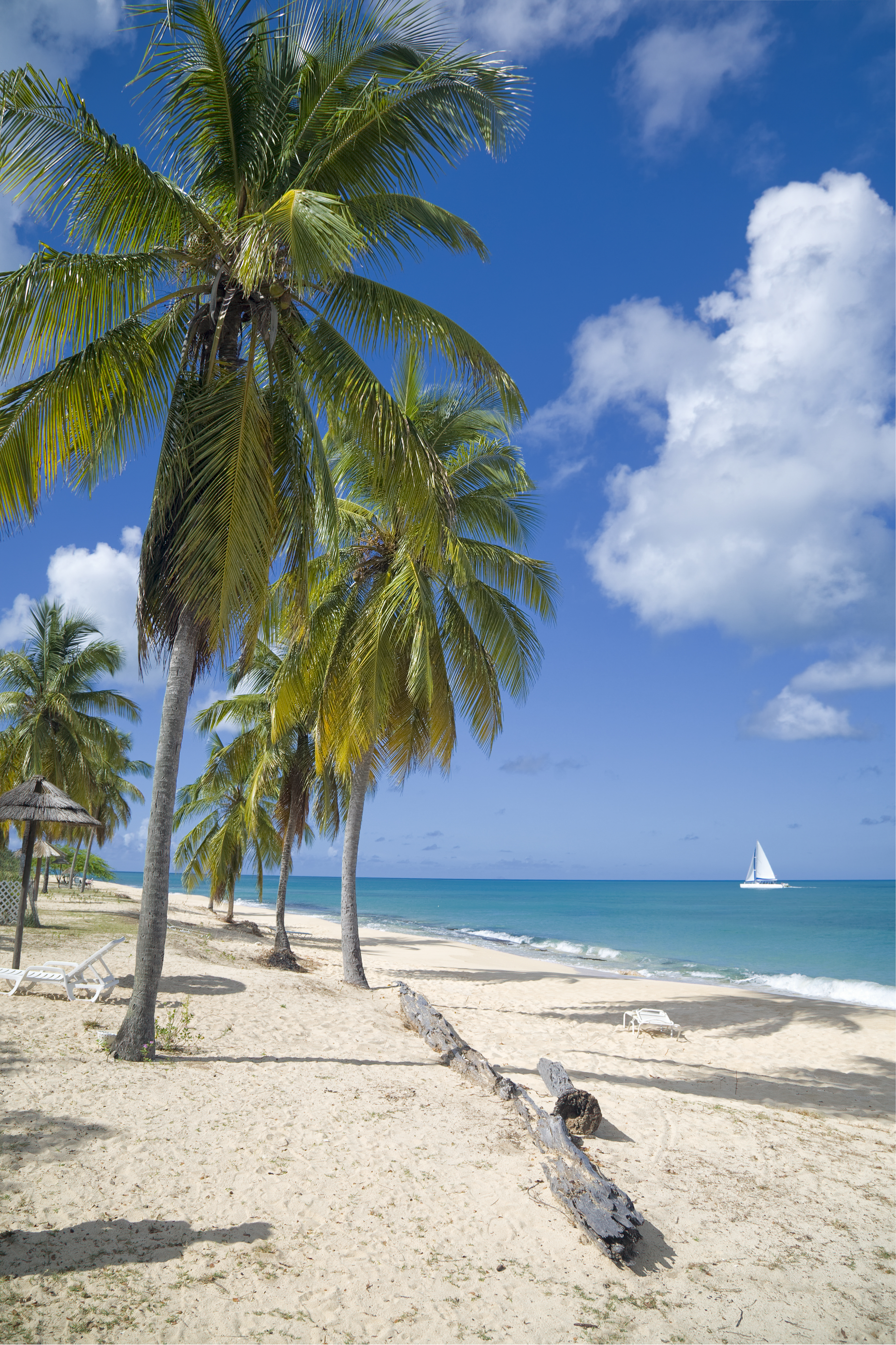 Best Nude Beach in the Caribbean: Hawksbill Bay Antigua