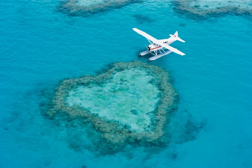 hayman-gallery-heart-reef-islands-image-3.jpg