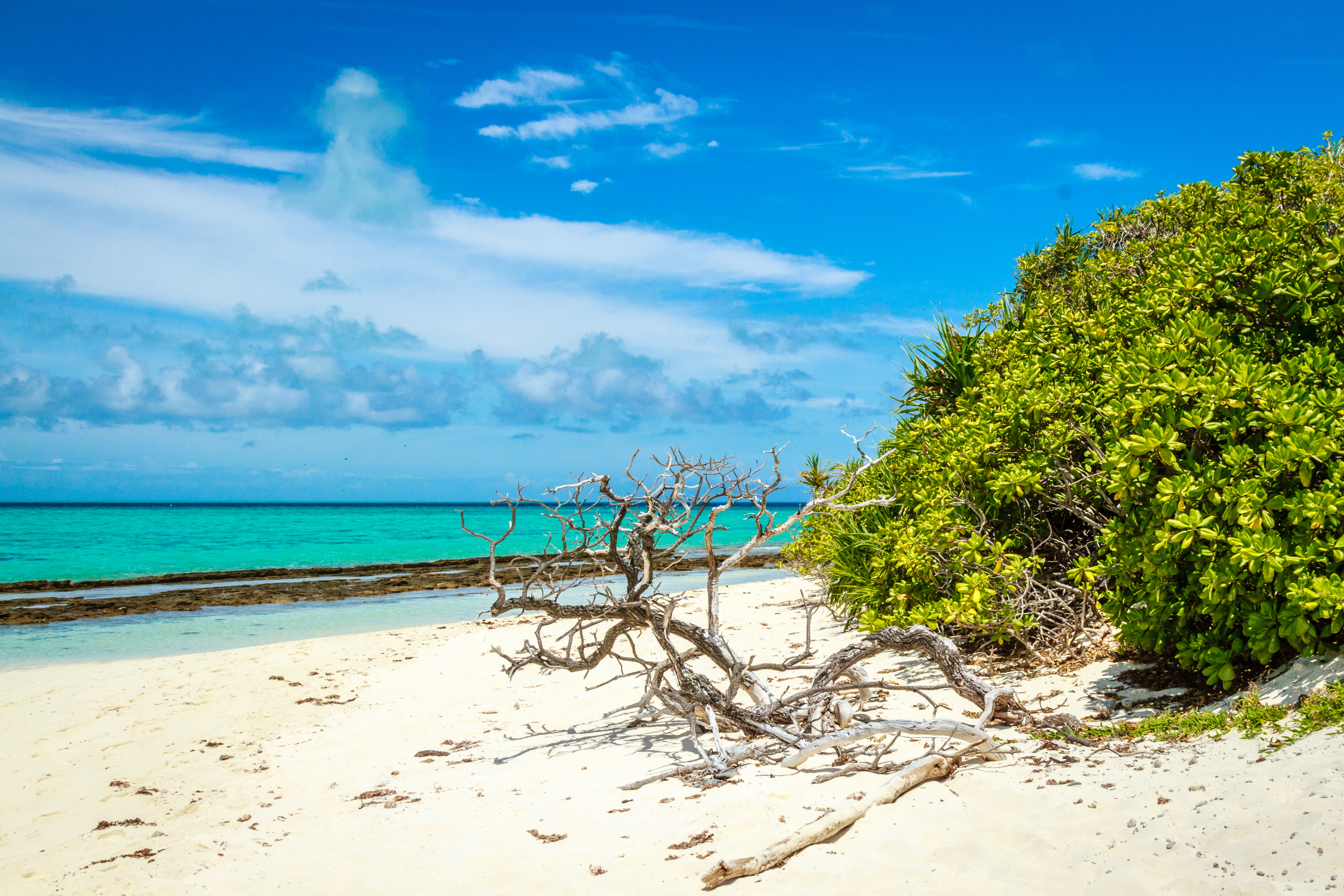 dive-heron-island