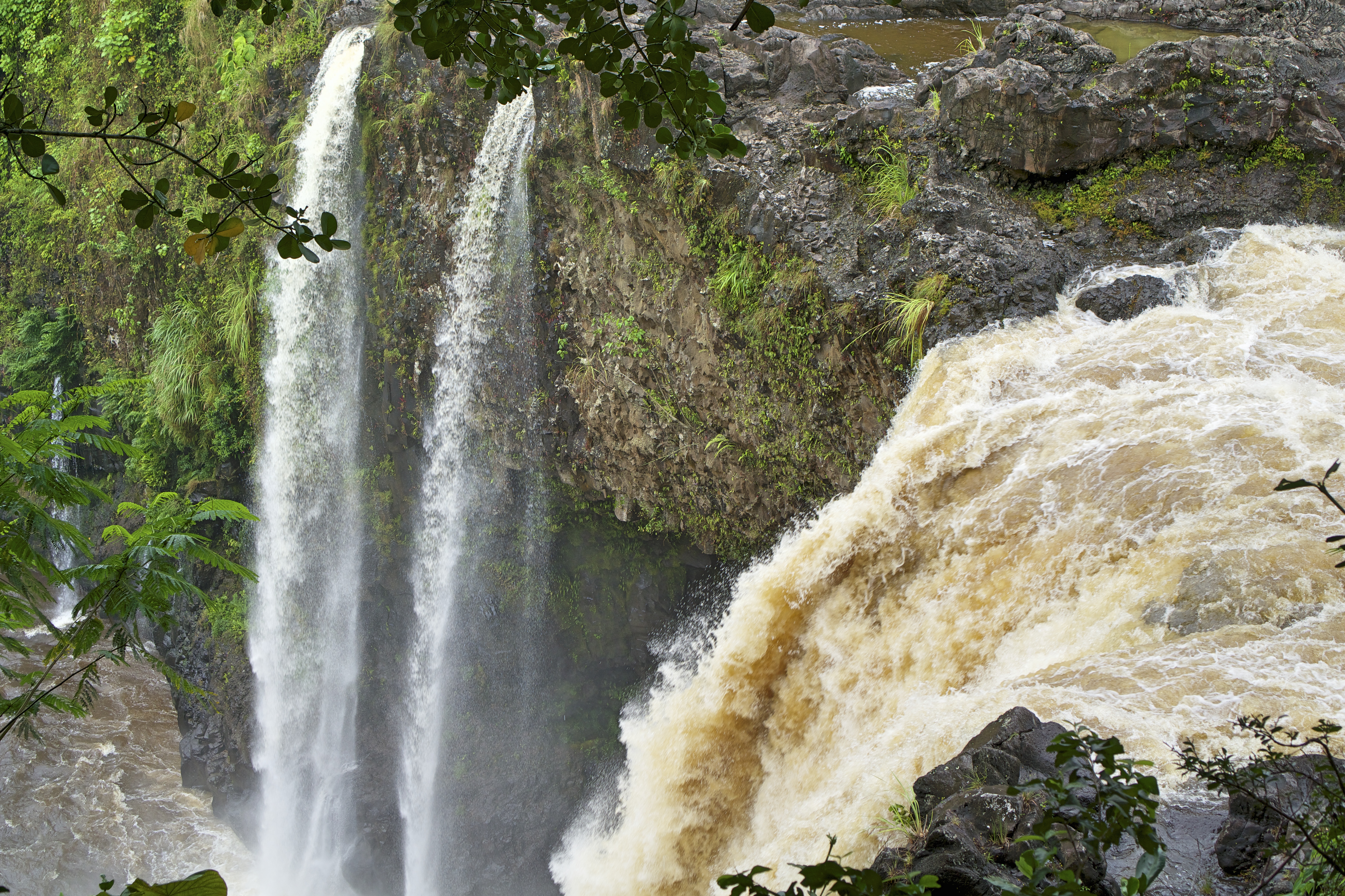 What to Do on the Big Island | Hilo Falls