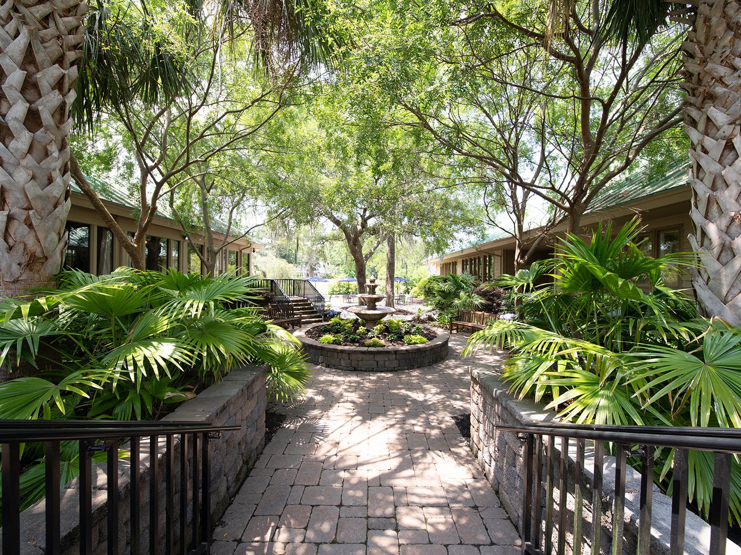 A green trail of plants at the Hilton Head Health Wellness Resort.