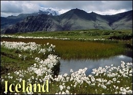 iceland-main