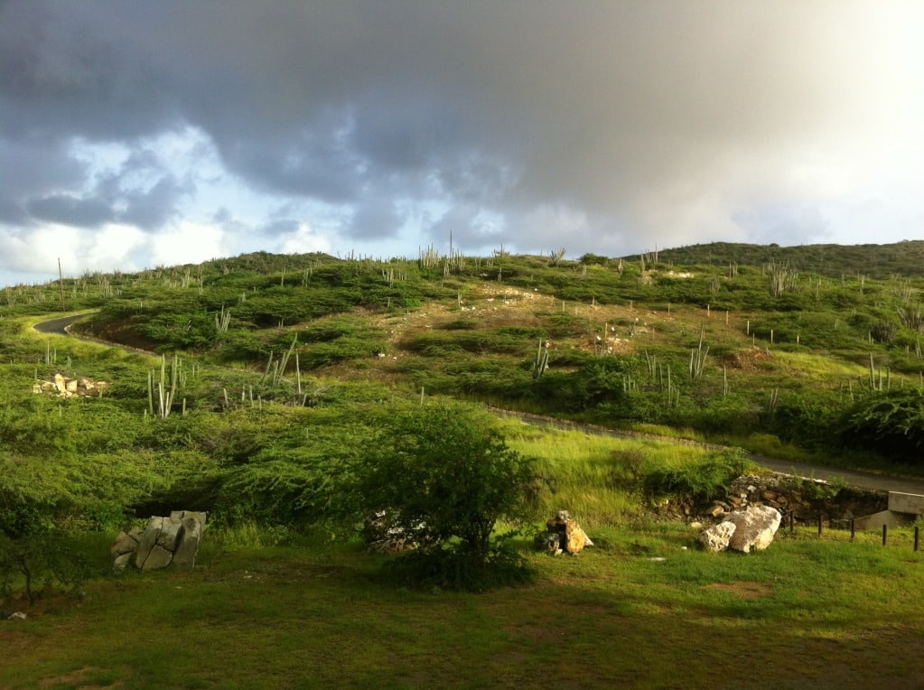 Aruba Arikok park