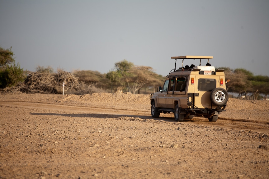 Desert Island Resort | Abu Dhabi Resort | Middle East Travel | Sir Bani Yas | Safari