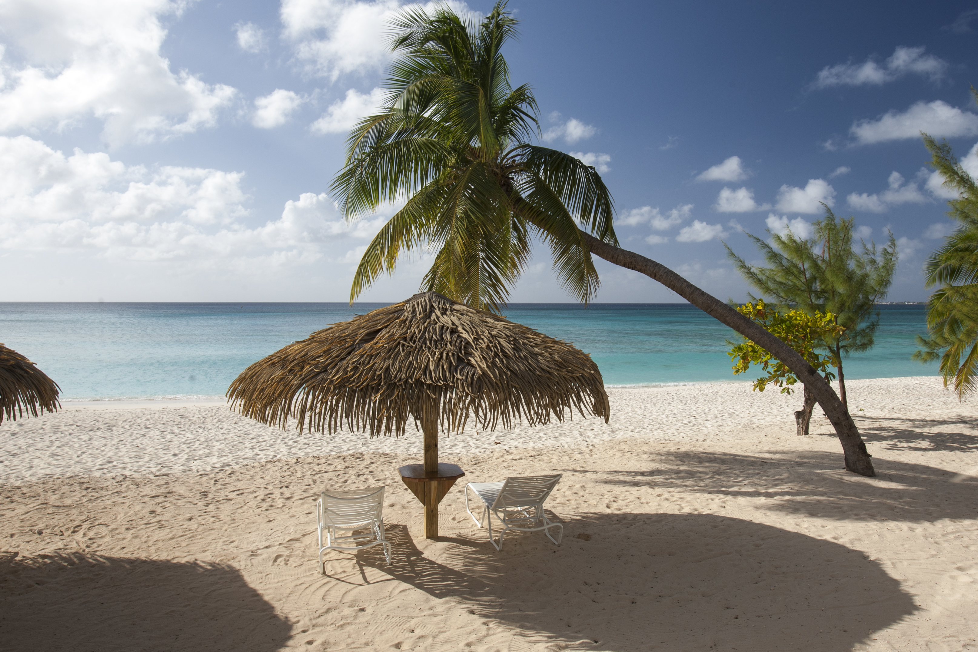 Grand Cayman beach chair