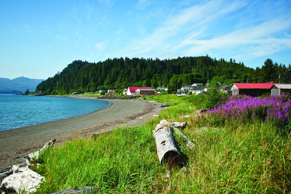 Haida Gwaii shore