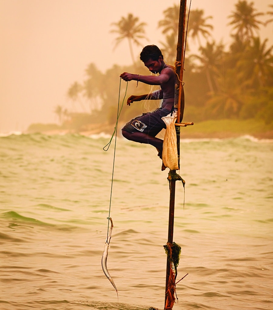 Stilt Fisherman in Sri Lanka