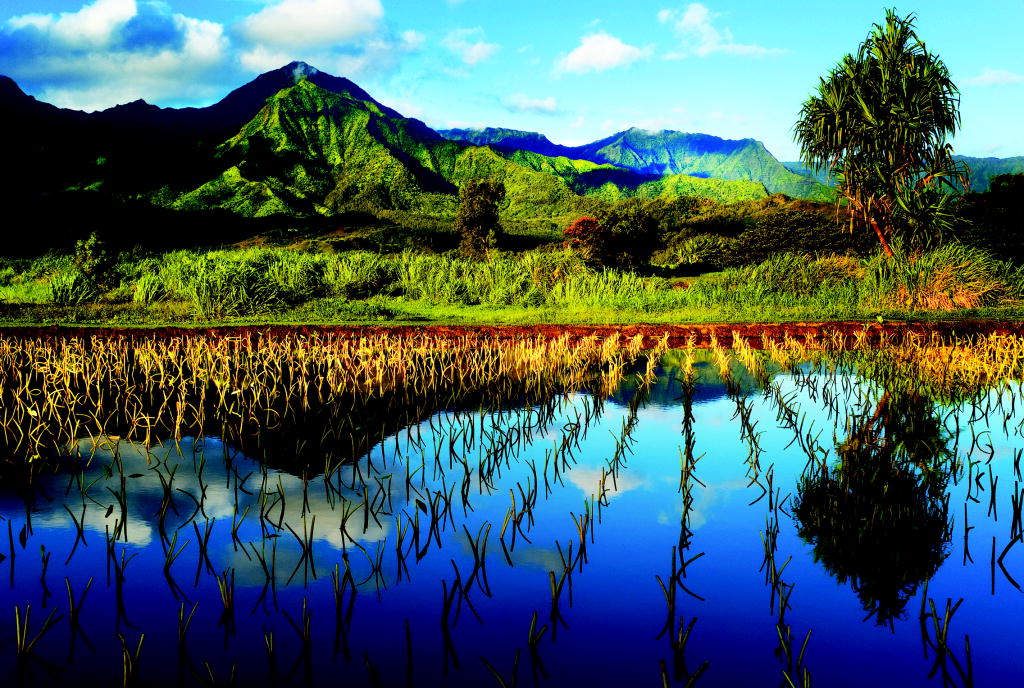 2011 3rd prize islands photo contest winner kauai