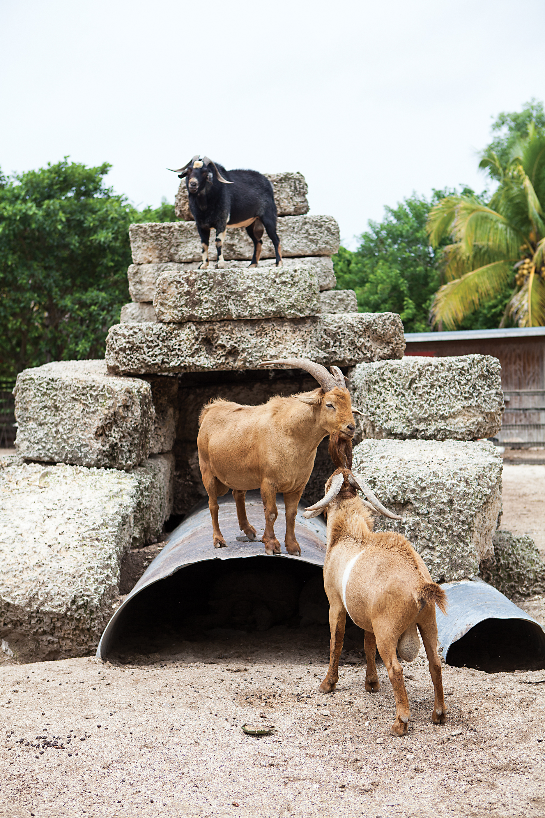 Best Florida Keys Road Trip | Homestead | Mile Marker 127