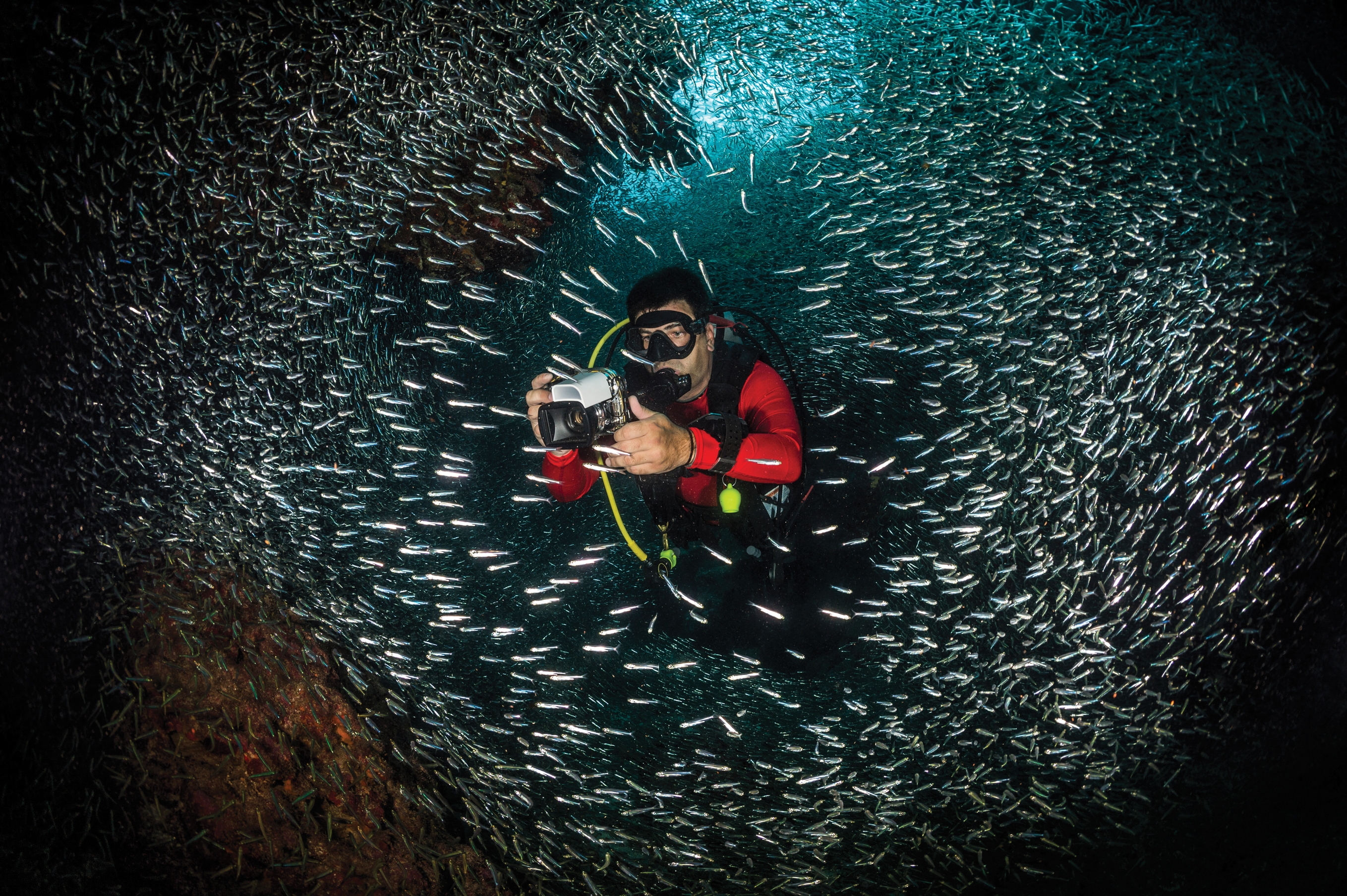 underwater photography