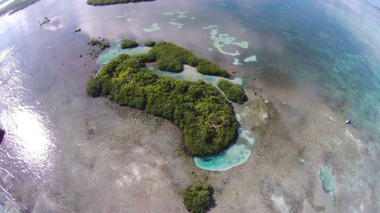 Islands for sale - Frigate Caye