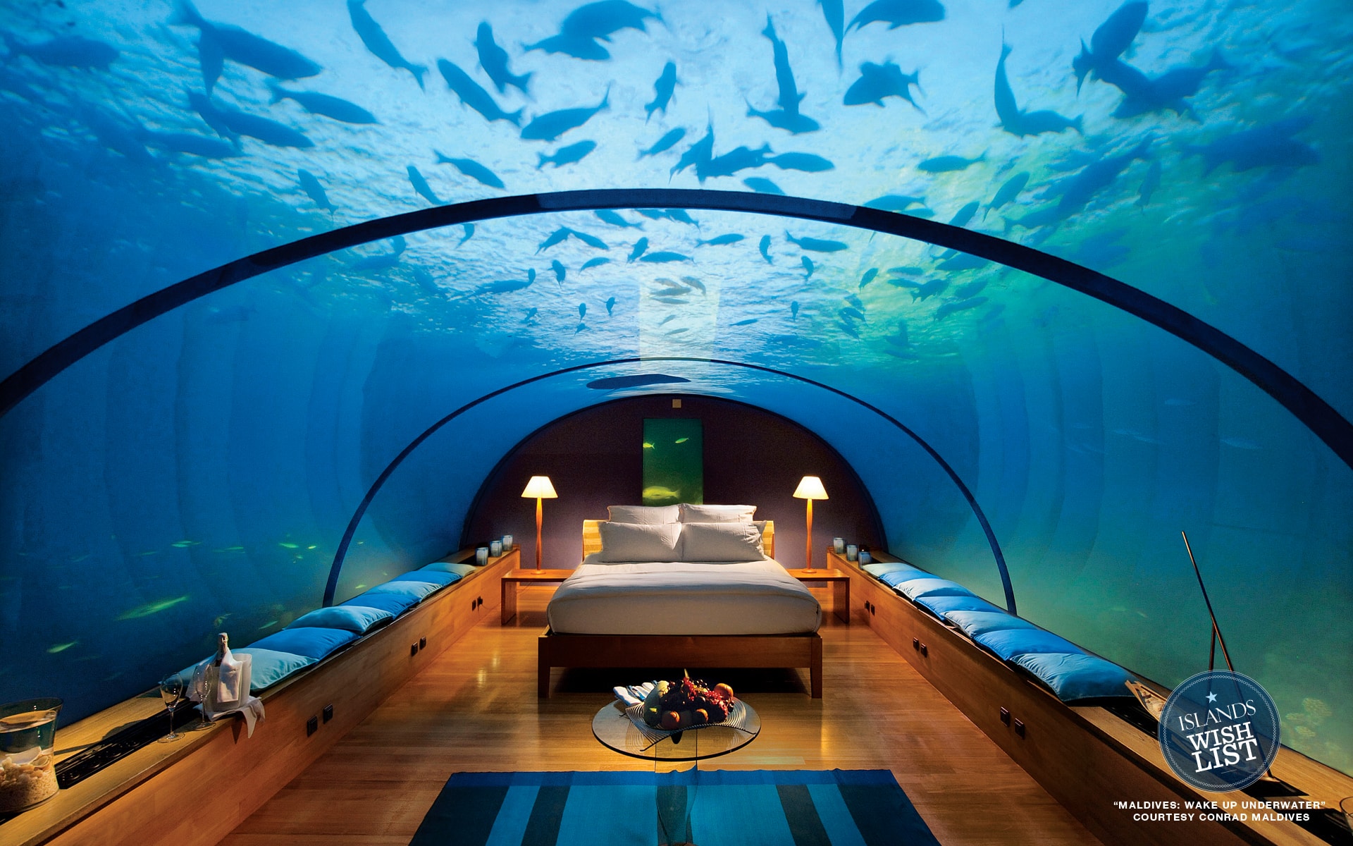 Maldives Underwater