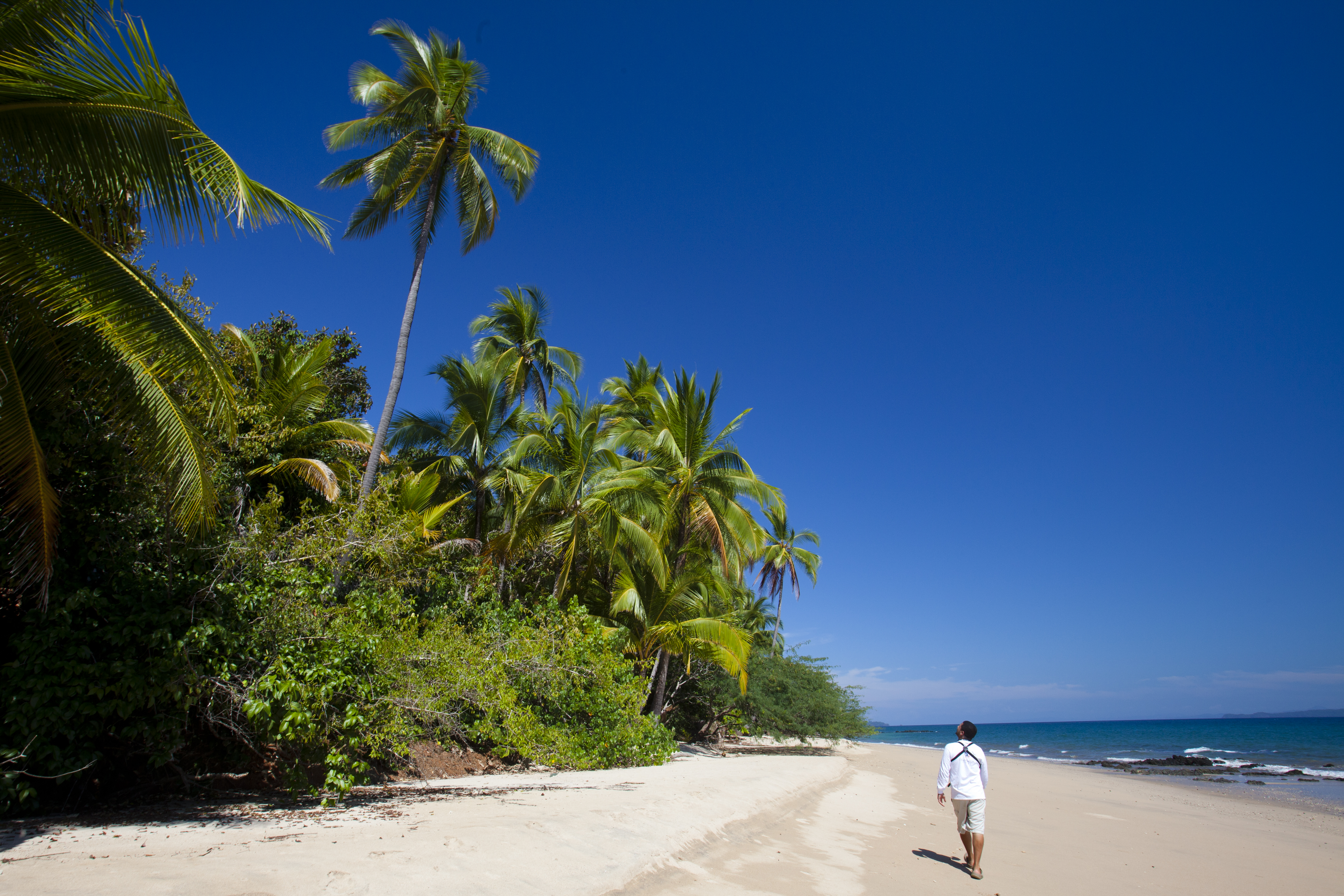 Isla Secas: Panama's Private Island Resort | Best Island Destinations | Isla Seca 13