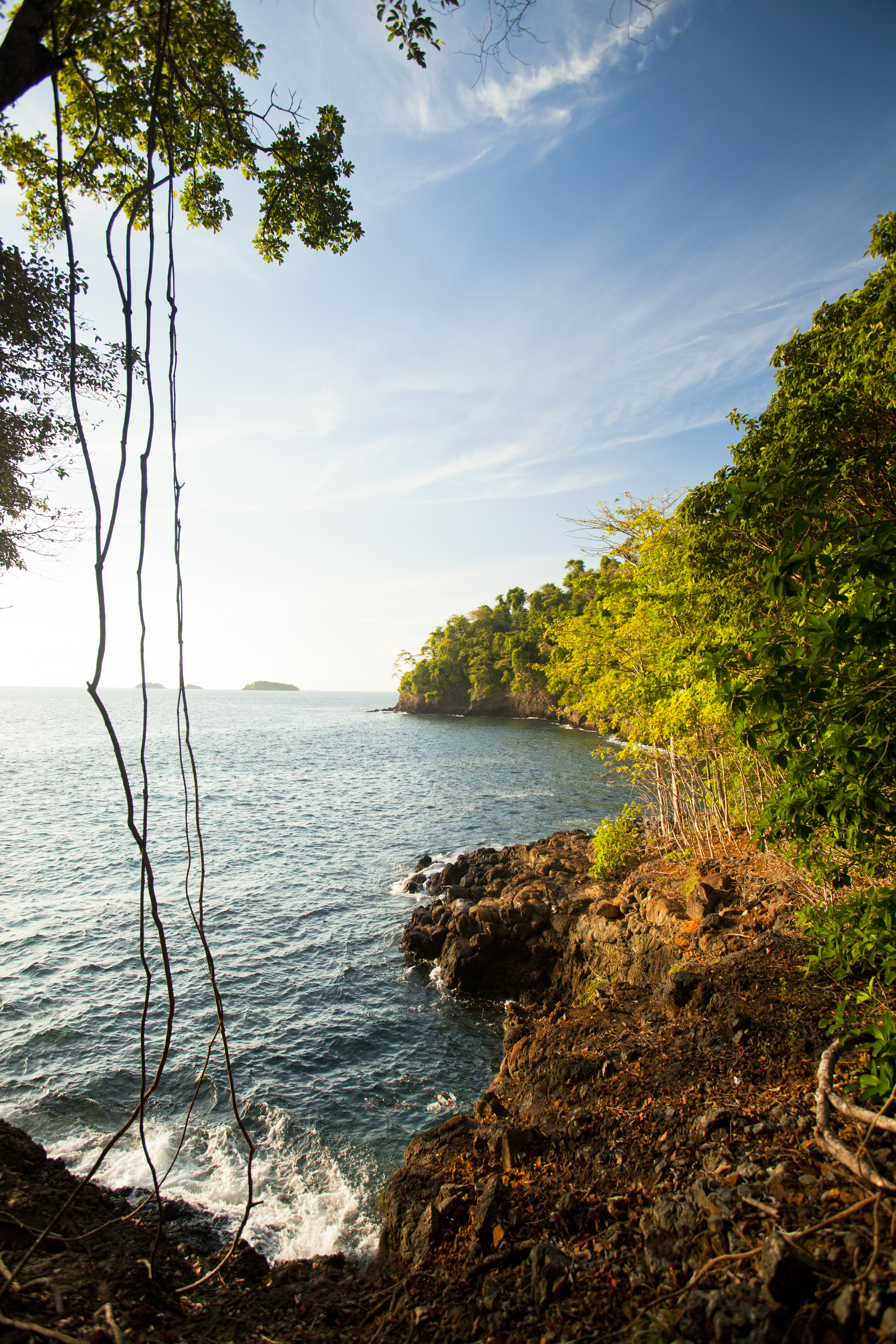 Isla Secas: Panama's Private Island Resort | Best Island Destinations | Isla Seca 8